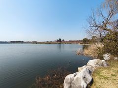 -上海海湾国家森林公园