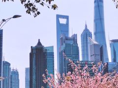 -北外滩滨江绿地