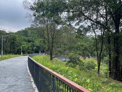 -观澜湖生态运动公社