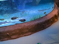 -沈阳海洋探索中心