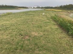 -春花秋色城市公园