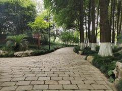 -瀛洲公园