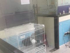 -天宠宠物医院24小时·急重症诊疗中心·全科·腔镜特色(和平分院)