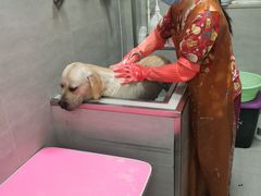 -宠福鑫康馨动物医院·骨科·眼科