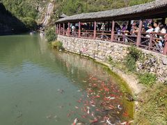 -黄花溪