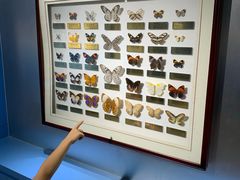 -上海昆虫博物馆