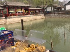 -尚庄度假村·庭台树下·户外烧烤·团建CS·轰趴营地(上庄水库店)