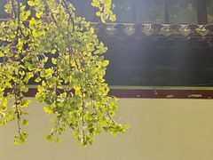 -西园戒幢律寺