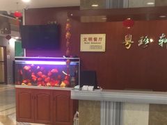 -一品粤珍轩(吴中路店)