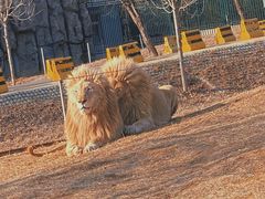 -秦皇岛野生动物园