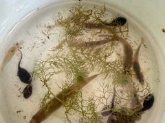 -浙江农林大学(东湖校区)