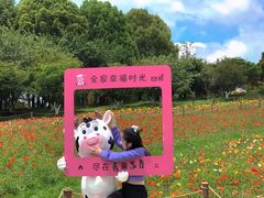 -秀丽东方