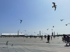 -东港音乐喷泉广场