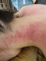 -奥本科技美肤·养生SPA