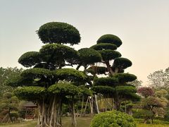 -南宁南湖公园
