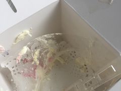 -贝紫Style(木马公寓店)