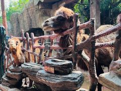 -长鹿旅游休博园