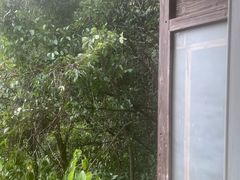 -富春桃源风景区