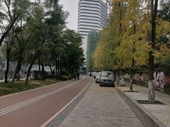 -成都市活水公园