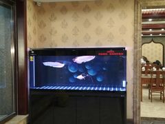 -民族饭荘(新华大街店)