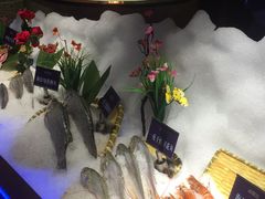 -海鼎荟海鲜姿造(泉州仟禧店)