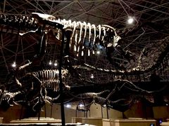 -世界恐龙谷景区