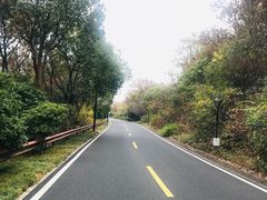 -宝界山林公园