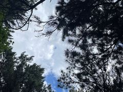 -北京西山国家森林公园