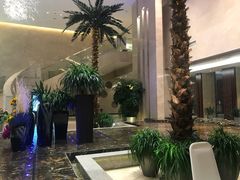 -常州环球恐龙城维景国际大酒店