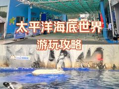 -南宁良凤江国家森林公园