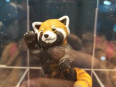 -上海跨国采购会展中心