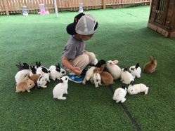 -萌宠亲子动物乐园(槐房万达店)