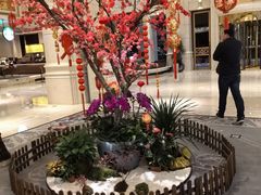 -雷迪森云锦大酒店-阳光西餐厅