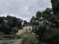 -墨尔本皇家植物园