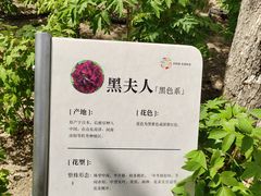 -太阳宫公园