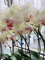 -变画·发型STUDIO