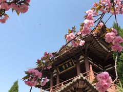 -西安青龙寺遗址景区