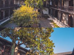 -何园