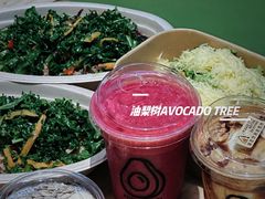 -油梨树 AVOCADO TREE(亮马桥店)