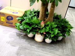 -大鹏佳兆业广场