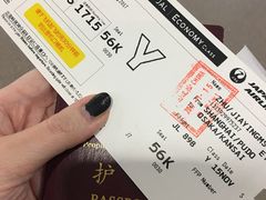 -全日本空输株式会社(上海办事处)