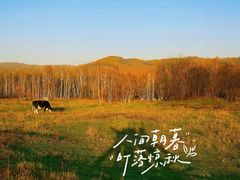 -莫尔道嘎国家森林公园