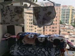 -宝生月子中心(民治店)
