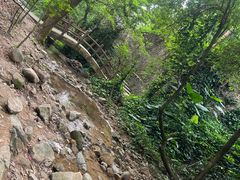 -火炉山森林公园