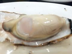 蒸蚝妖精-蚝专家(北滘店)