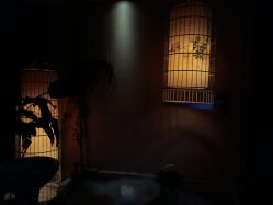 -威思丽高温瑜伽会馆