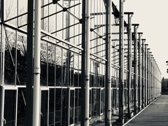 -南通洲际绿博园