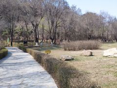 -高尔山公园