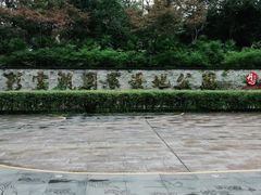 -重庆彩云湖湿地公园