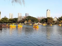 -月湖公园